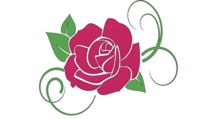 Barker's Gardens Maintenance & Landscaping