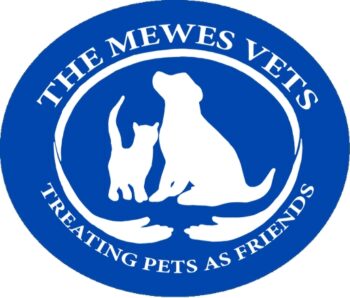 The Mewes Vets